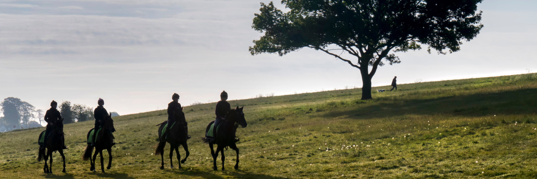 Epsom Downs race horses Epsom Surrey