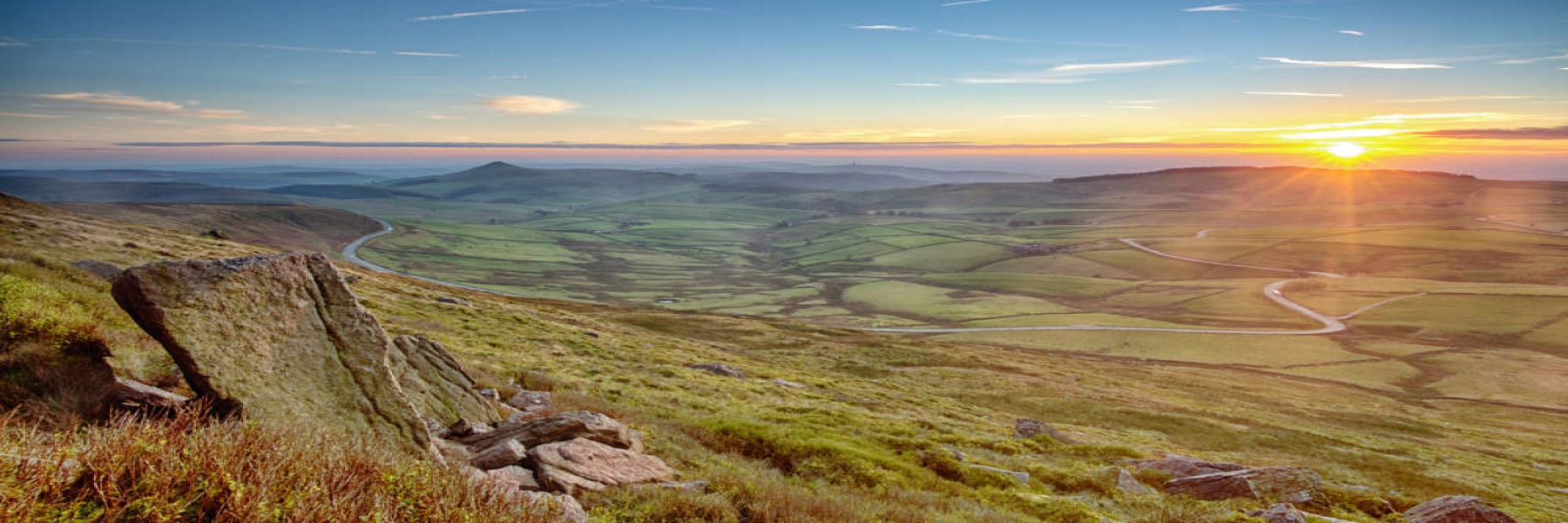 Cat Fiddle Road Cheshire